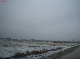 img010.jpeg.small.jpeg