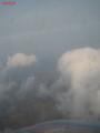 img011.jpeg.small.jpeg